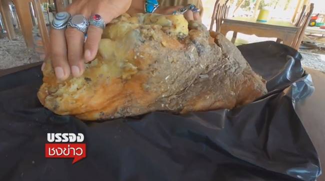 อ้วกวาฬ