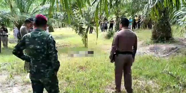 ตำรวจวิสามัญ