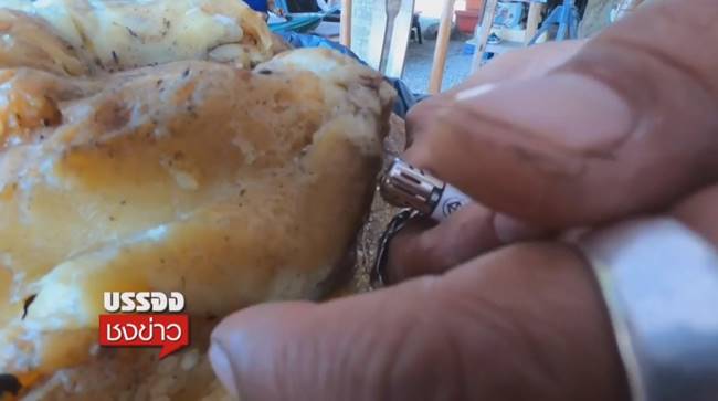 อ้วกวาฬ