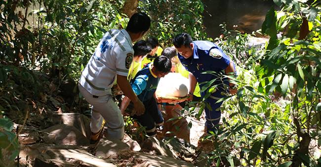 ฆ่าตัวตาย