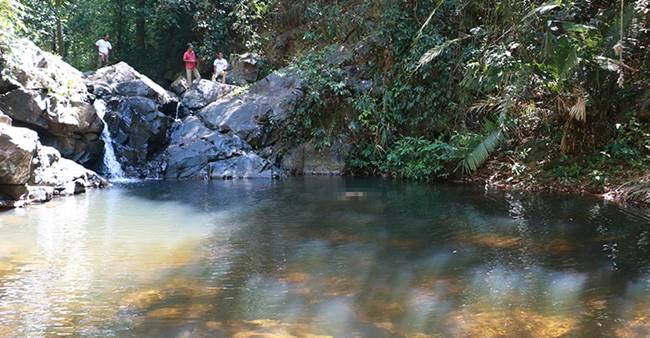 ฆ่าตัวตาย