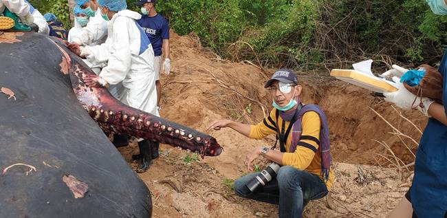 วาฬหัวทุย