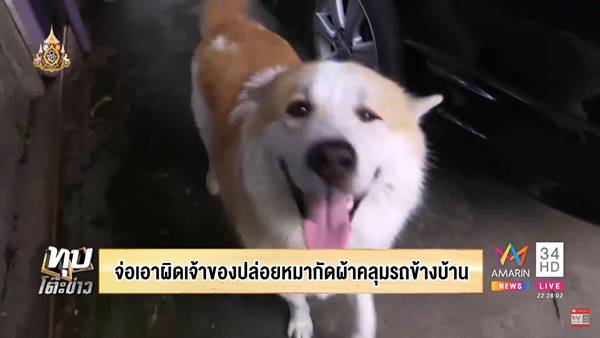 เพื่อนบ้านทะเลาะกัน