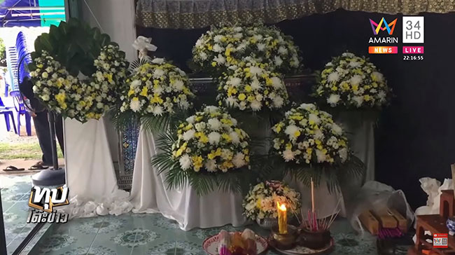 หมัดแมวกัดเสียชีวิต