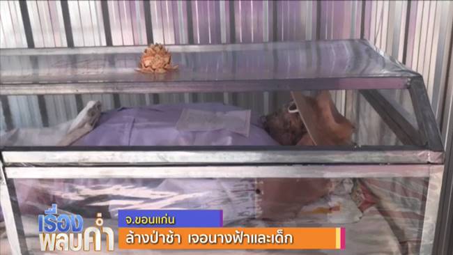 ล้างป่าช้า