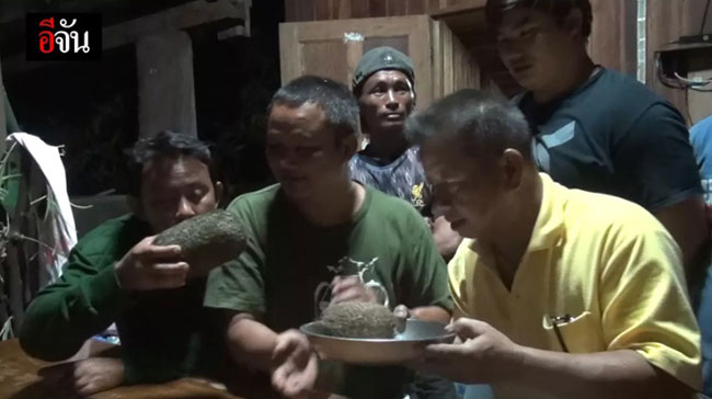 อ้วกหมู