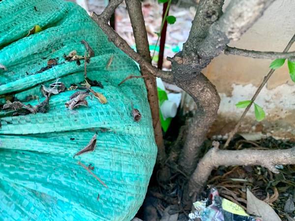 วัตถุต้องสงสัย