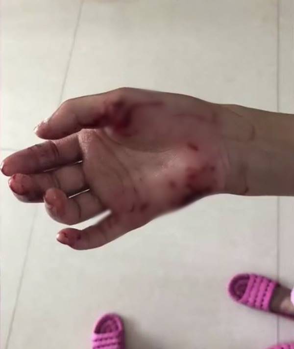 สัตว์ประหลาด