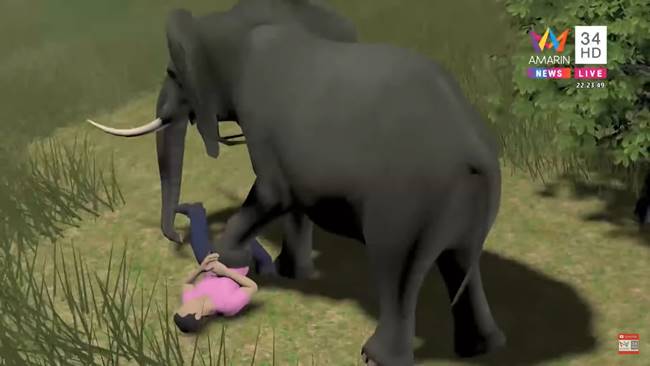 ช้างป่า