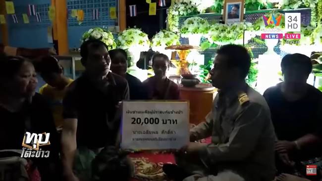 ช้างป่า