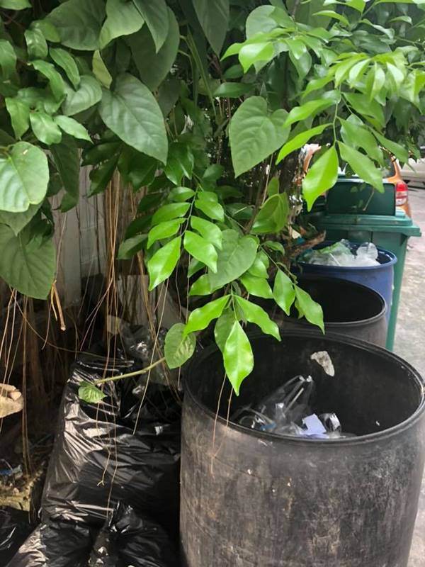 หม่อมถนัดแดก