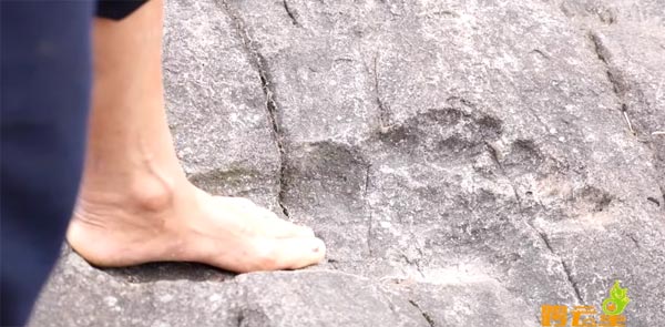 จีนพบรอยเท้ายักษ์ปริศนา ใหญ่กว่ามนุษย์ 2 เท่า เชื่อเป็นบิ๊กฟุตในตำนาน