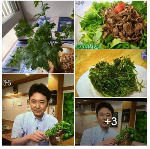 พีคมาก.. ญี่ปุ่นฮิตกระแส 