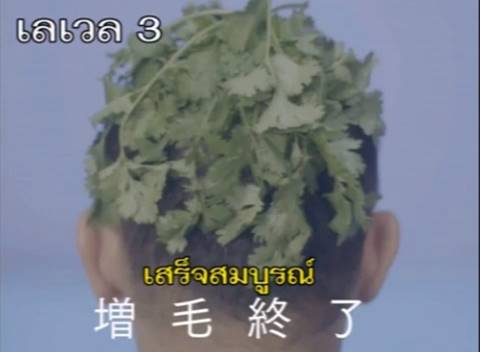 พีคมาก.. ญี่ปุ่นฮิตกระแส 