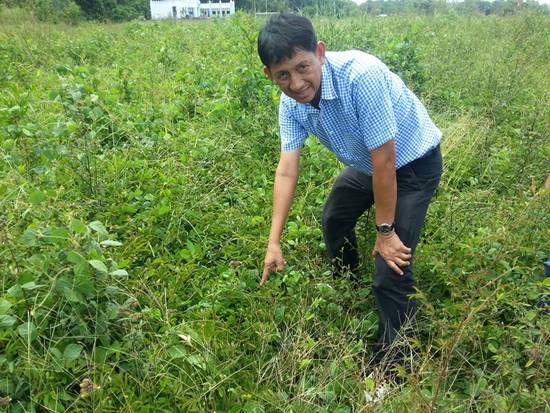 แชร์ว่อน ภาพสนามกีฬาระดับตำบล ถูกปล่อยรกร้าง สูญเปล่างบสร้างกว่า 12 ล้าน