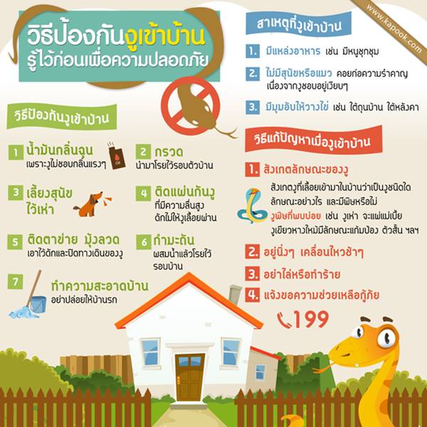 โลกออนไลน์แชร์ วิธีป้องกันงูโผล่จากส้วม รับรองทำแล้วปลอดภัยชัวร์