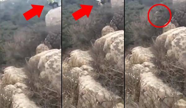 วินาทีระทึก ! คลิปนักท่องเที่ยวร่วงดิ่งกำแพงเมืองจีน ไม่น่าเชื่อเขารอดชีวิต