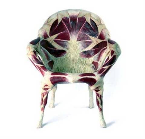 ลองนั่งไหมละ? เก้าอี้ดีไซน์สุดล้ำ เอาใจคนชอบของแปลก #สาบานว่านี่เรื่องจริง?