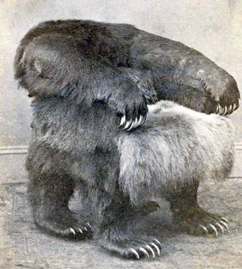 ลองนั่งไหมละ? เก้าอี้ดีไซน์สุดล้ำ เอาใจคนชอบของแปลก #สาบานว่านี่เรื่องจริง?