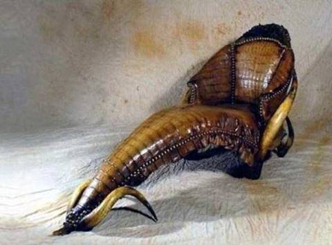 ลองนั่งไหมละ? เก้าอี้ดีไซน์สุดล้ำ เอาใจคนชอบของแปลก #สาบานว่านี่เรื่องจริง?