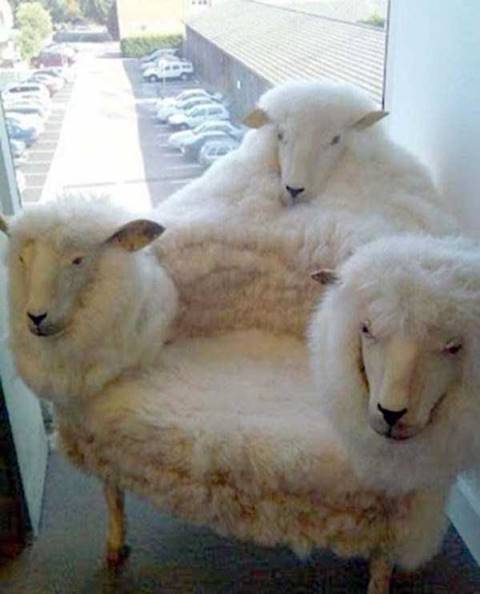 ลองนั่งไหมละ? เก้าอี้ดีไซน์สุดล้ำ เอาใจคนชอบของแปลก #สาบานว่านี่เรื่องจริง?