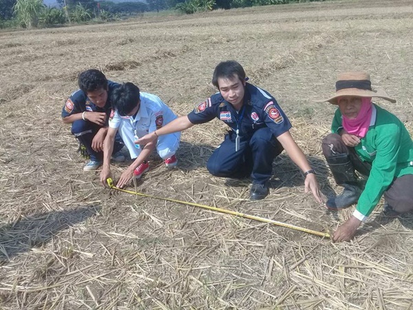 รอยเท้ายาวประหลาดกลางทุ่งนา