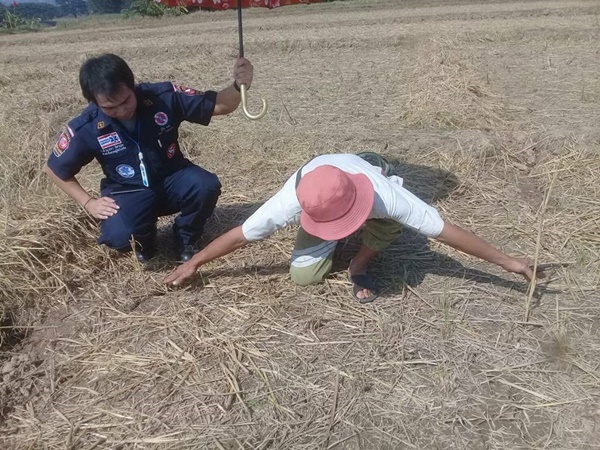 รอยเท้ายาวประหลาดกลางทุ่งนา