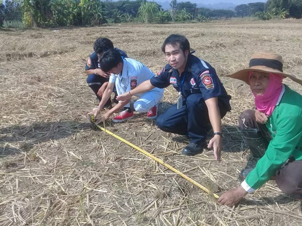 รอยเท้ายาวประหลาดกลางทุ่งนา