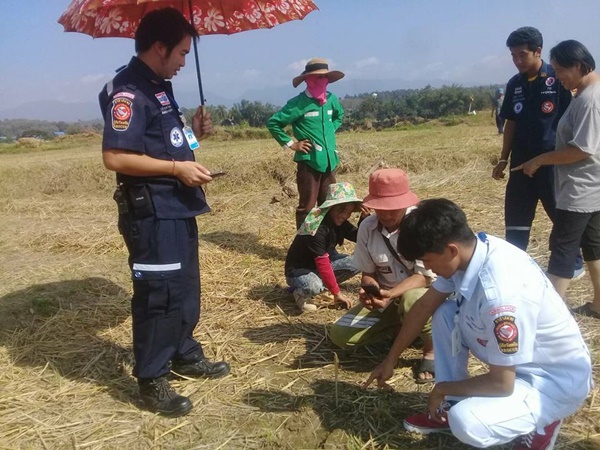 รอยเท้ายาวประหลาดกลางทุ่งนา