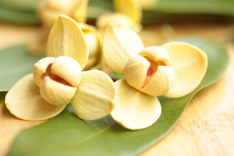 ดอกลำดวน