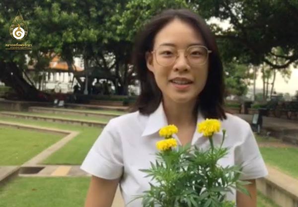 หยาดเหงื่อพระราชา