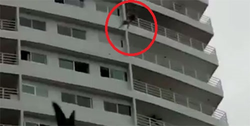 นาทีชีวิต ! ชายต่างชาติกระโดดคอนโด พัทยา ดับคาที่ 