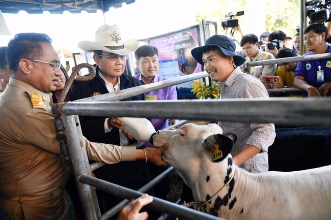 น้ำนมดิบ