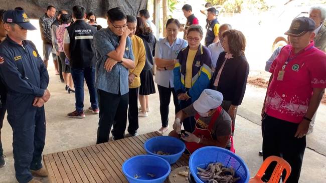 แทะตีนไก่