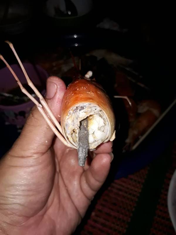 กุ้งยัดตะกั่ว