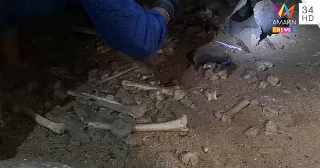 กระดูกมนุษย์