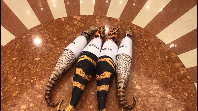 สส อนาคตใหม่