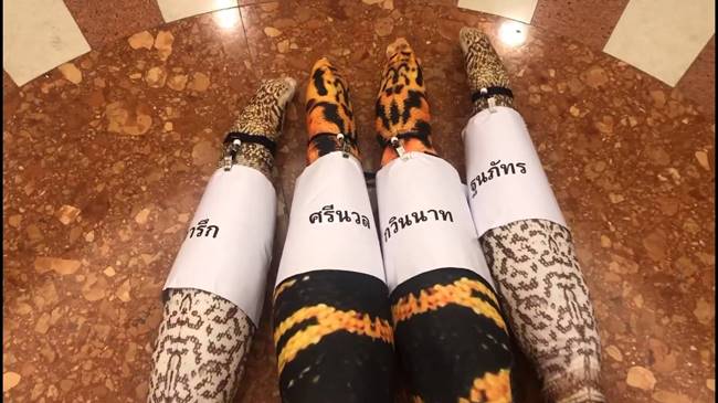 สส อนาคตใหม่