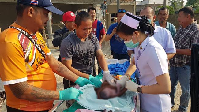 คลอดลูกบนรถ