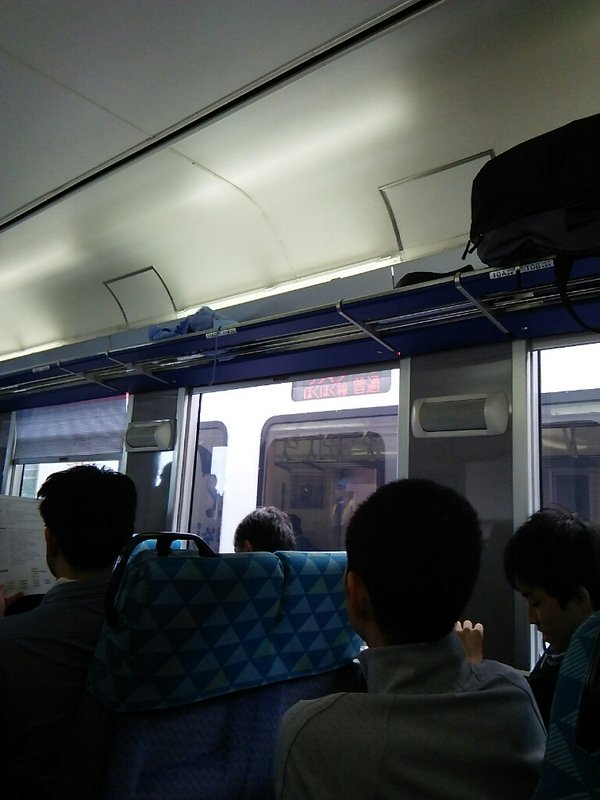 รถไฟกระต่ายหิมะ