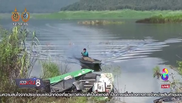 ฤดูกาลล่าปลาบึกยักษ์