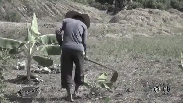  พนักงานวิทยุการบิน 