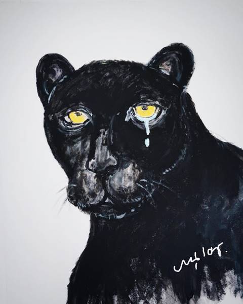 เสือดำทุ่งใหญ่