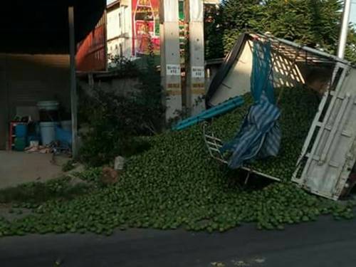 รถขนมะม่วง 9.5 ตัน คว่ำกลางสี่แยก