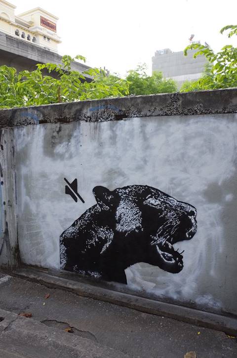 เสือดำทุ่งใหญ่