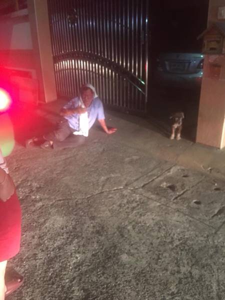 ป่าหินใส่แท็กซี่