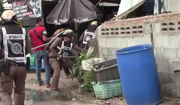 เมายาบ้า