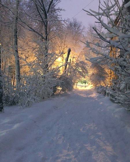 พายุหิมะ