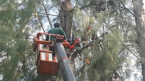 เครื่องบินซ้อมรบ