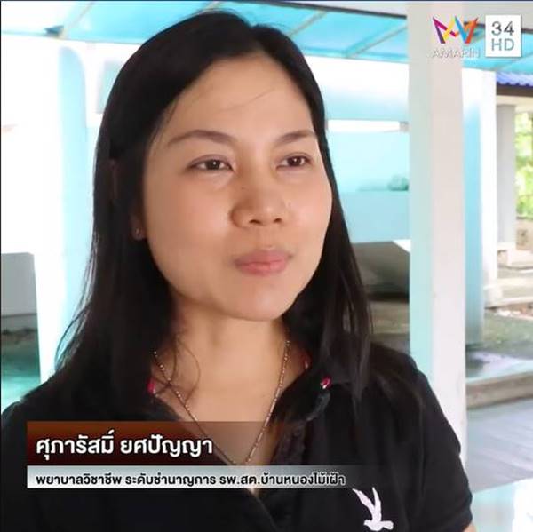 กิ้งกือ